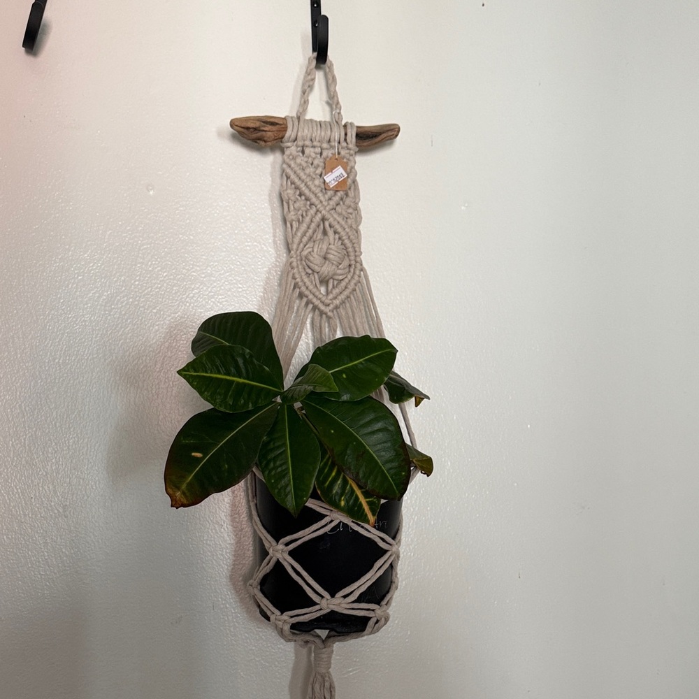Neutral Cream Macramé Plant Hanger - Boho Wall Plant Holder